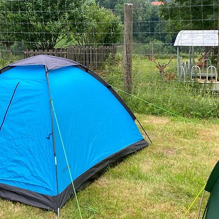 Camping F Selbstversorger Gut Jaegerhof Adults Only Semriach Εξωτερικό φωτογραφία